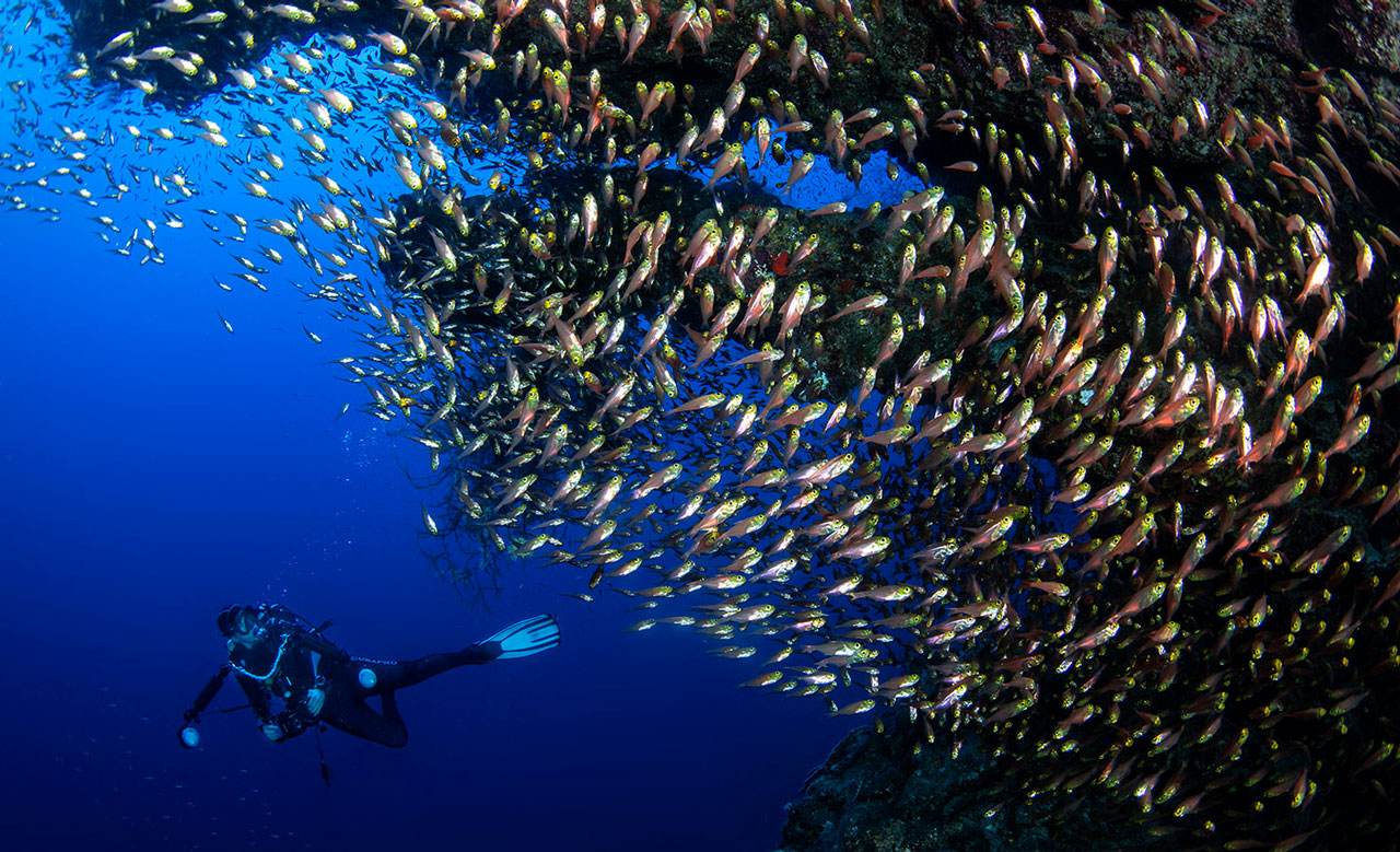 Shore diving at Naama Bay