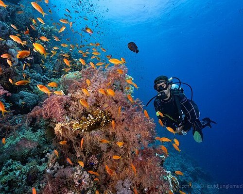 Diving and Fun in Sharm