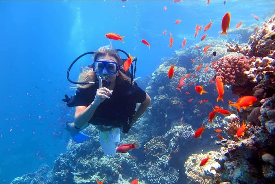 Scuba diving adventure at a popular dive site in Hurghada, with divers exploring underwater caves and vibrant coral reefs