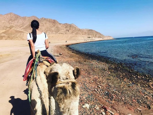 Camel ride excursion in the desert near Hurghada, with tourists enjoying a scenic ride on the sandy dunes